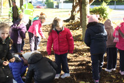 image of volunteers digging and planting