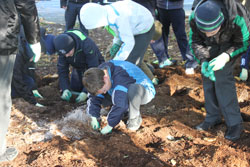 image of volunteers digging and planting