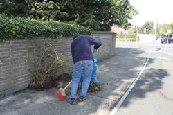 image of the cleaning group at work