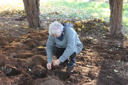 Community members planting seeds for spring