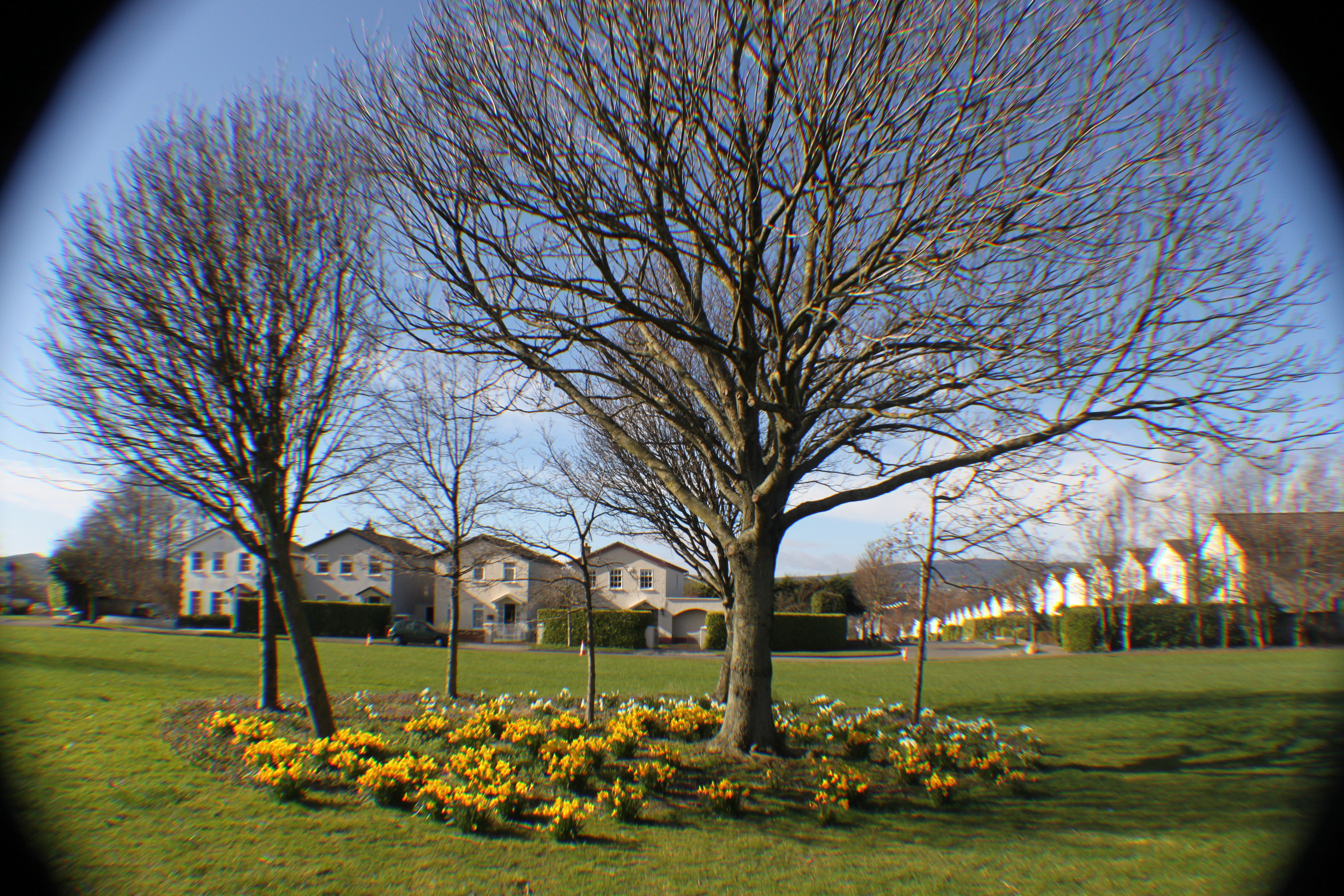 Churchview Road Green