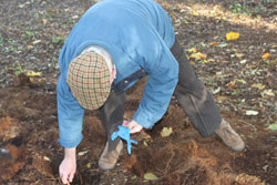 Community members planting seeds for spring