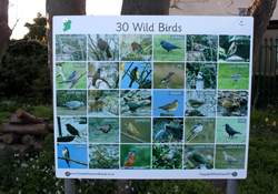 Wild Life Board at Johnstown Boys school